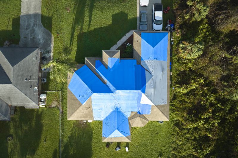 Roof Tarping
